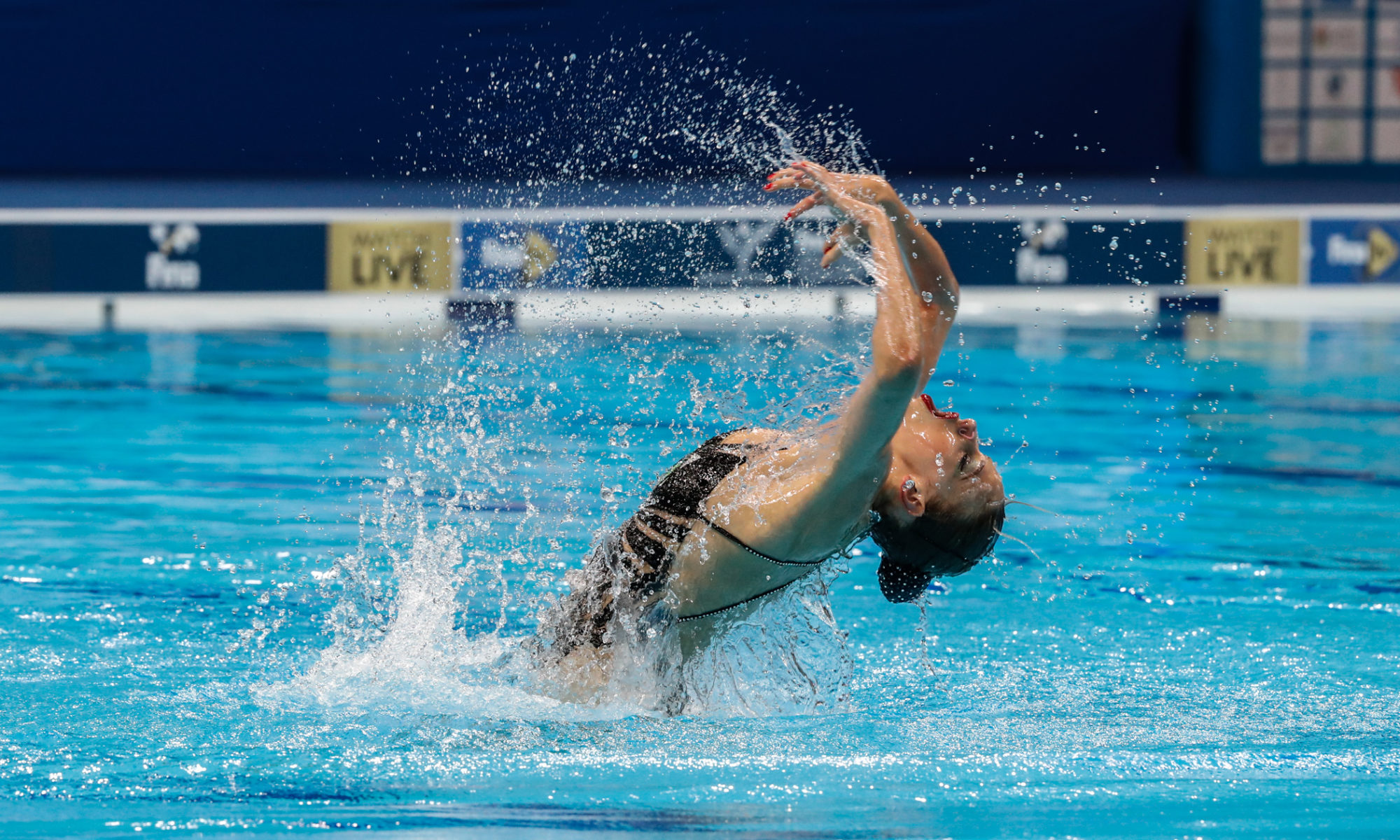 CHRISTEAU PHOTO AGENCY - ֎